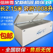 Xinying tuyết 1008 tủ đông thương mại dung tích lớn bể nước lạnh đông lạnh thử nghiệm tủ lạnh tủ lạnh lớn đơn đôi nhiệt độ tủ - Tủ đông