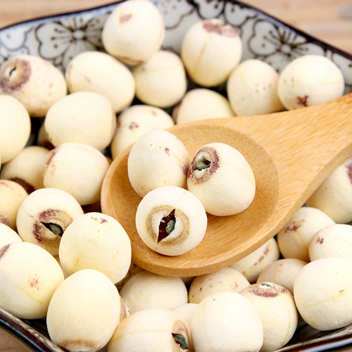 В этом году новые фермерские фермеры Самоапрестанные семена лотоса лотоса