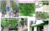 Mô phỏng cây nho lá nho hoa giả hoa màu xanh lá cây trần nhà tường xanh ống nước trang trí treo vướng víu - Hoa nhân tạo / Cây / Trái cây Hoa nhân tạo / Cây / Trái cây