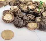 Self -Supressing Xioxiang 蛞 呱 蛞 蛞 蛞 蛞 抑 抑 抑 抑 抑 250g