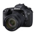 Canon Canon 7D kit SLR chuyên nghiệp máy ảnh kỹ thuật số cao cấp SLR HD nhiếp ảnh du lịch chuyên nghiệp SLR kỹ thuật số chuyên nghiệp