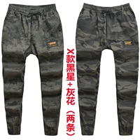 X Black Star+серые эластичные штаны