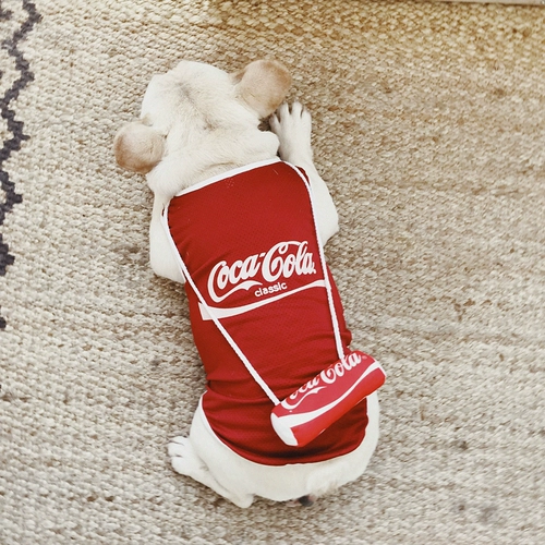 Сеть красная одежда для собак Fa niu Pet одежда Payle Vests Snowy Fighty Dog Summer Sunshine Thin