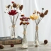 Hoa khô tự nhiên trang trí bó hoa nội thất nhà nhỏ tươi Bắc Âu bộ bông sen bình hoa trang trí phòng khách - Trang trí nội thất