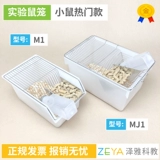 Лабораторная лабораторная лабораторная лабораторная лабораторная лабораторная лаборатория крыс