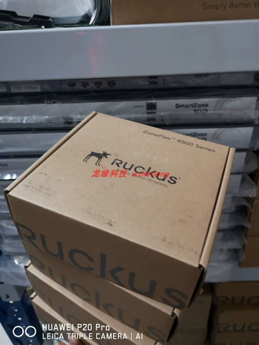 Ruckus Youke R500 901-R500 WW00 высокая грузоподъемность Двойной высокочастотной беспроводной AP AP