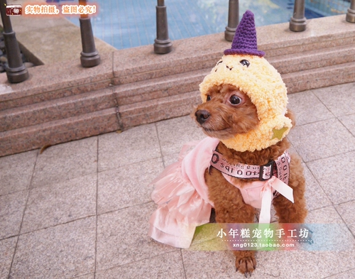 Бесплатная доставка Xiaonian Cake Pure Petsmade Pets Yingxia Dog Cat Wool New Year Apple Pineapple Head Hat Hate