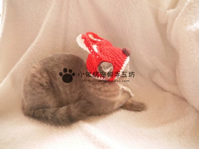 Маленький новогодний торт Эксклюзив/домашнее животное/плюшевая собака, собака, собака, кошка, потрясающая шерсть ручной работы, шляпа Meng ah ah hat