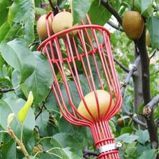 Гнездо garen tools deep basket fruit