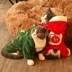 Quần áo mèo mèo Quần áo mèo gạo quần áo mèo Anh ngắn vẻ đẹp ngắn siamese trang phục bé mèo nhỏ sữa chó ấm mùa thu và mô hình mùa đông - Quần áo & phụ kiện thú cưng