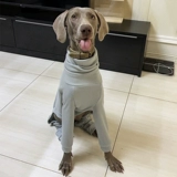 Демисезонный приятный телу шнурок-держатель, свитер, нижнее белье, в обтяжку