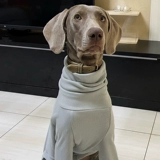 Демисезонный приятный телу шнурок-держатель, свитер, нижнее белье, в обтяжку