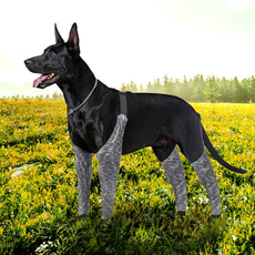 Носки для животных 宠物防弄湿腿套护膝狗狗户外四脚裤犬用吊带防水防脏防尿腿通用