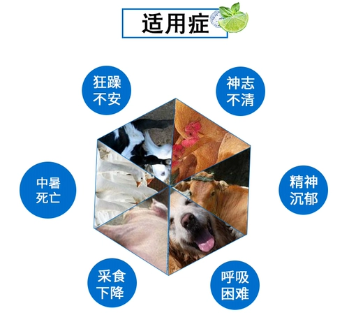 Золотая фармацевтическая фармацевтическая фармацевтическая фармацевтическая фармацевтическая теплостойкость