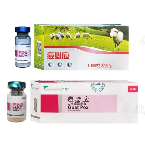 Акне Харбин должны использовать живую вакцину, овцы прыщи, прыщи узелки для коровь