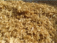 Китайские студенческие предпринимательские домохозяйства сельскохозяйственные продукты, специализирующиеся на посадке оболочки пшеницы пшеницы 500G