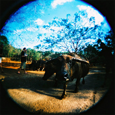 LOMO камера объектив holga120gcfn старинные стекло