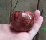 Импортированная шинанму сплошной древесина