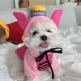 Лучшая одежда для любителей собак осенью и зимняя плюшевая плюшка Белигер Корки Корканари маленькие щенки кошачьи свитер