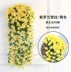 Treo tường hoa nho nhân tạo treo tường hoa lan nhựa trang trí phòng khách hoa treo tường - Hoa nhân tạo / Cây / Trái cây
