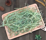 БЕСПЛАТНАЯ ДОСТАВКА 2022 Новое высокое качество кролики Timore 500G Dished Trass, морские свинки, трава голландская свиньи питайте