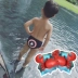 Bơi trẻ em thân trai tam giác dễ thương bé bé bơi lội thân quần áo bơi trẻ em superman spiderman đồ bơi
