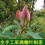 Дикий орл чай 500G Сюань Чунцин Горящий горшок обычно используется в Wuxi Specialty Products Guizhou Takayama Белый чай