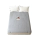 Nệm giữ ẩm 1,5 nhíp giường 1,8m chiếu bảo vệ chiếu 2 m đôi mỏng phần ký túc xá chống trượt giường nệm - Nệm Nệm