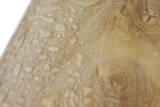 WPC Деревянный пластиковый пол на пол фрардегид, без водонепроницаемого водонепроницаемого пола.