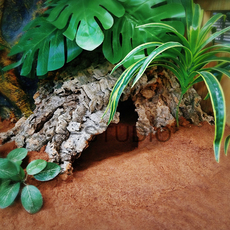 Аксессуары для рептилии 爬虫箱陆龟箱蜥蜴箱l雨林缸地中海原生造景树皮 躲避洞 晒台