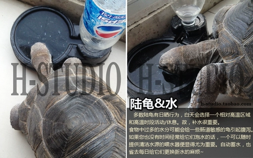 БЕСПЛАТНАЯ ДОСТАВКА ABS Право -Вентилятор -вентилятор.