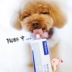 Pháp Vic virbac gram của thuốc mỡ mèo con chó dinh dưỡng kem vitamin pet sản phẩm sức khỏe bio milk cho mèo Cat / Dog Health bổ sung