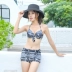 Bộ đồ bơi ba mảnh bikini nữ 2019 Hàn Quốc mới ngực nhỏ thu thập suối nước nóng gợi cảm nhỏ nhắn ba điểm - Bikinis