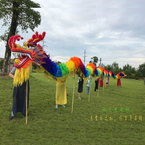 Custom Dragon Lantern Dragon Dragon индивидуальная реклама Dragon Dance Lion Dance Prudes Spring Festival Экипаж