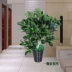 Trong nhà mô phỏng cây xanh trong chậu phòng khách văn phòng khách sạn trang trí cây giả hoa giả chậu cảnh mô phỏng hoa nhài châu Phi - Hoa nhân tạo / Cây / Trái cây