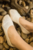 Mùa hè peas giày silicone non-slip Nhật Bản vớ ngắn sợi tre vớ thuyền nữ vớ cotton phần mỏng nông miệng vớ vô hình Vớ sợi tre
