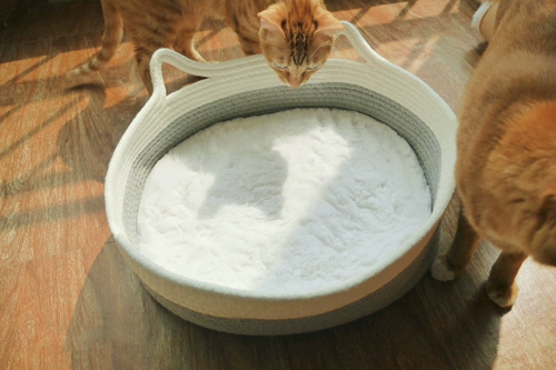 Мягкий круглосуточный магазин, плюшевое удерживающее тепло одеяло, уплотняющая прокладка, домашний питомец