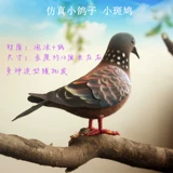 忕伆 楦 楦 灏 灏 瓙 瓙 瓙 瓙 瓙 瓙 瓙 瓙 庨 庨 愮 愮 帺 帺 鑺 鑺 鑺 愰 愰 鍏 鎽勫 鎷 鎷 鐜 叿阆 揿 叿浠 湡楦 湡楦 湡 湡 鎽勫 鎷 鐜 揿 鏁椤 叿浠 湡楦 湡楦 湡 湡楦 湡楦 湡楦 湡楦 湡楦