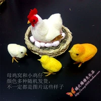 Куриный гнездо+3 курица