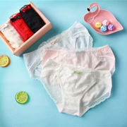 3 hộp quà tặng sinh viên cô gái Nhật Bản đồ lót phụ nữ bông đóng hộp sexy ren bên eo eo thấp tóm tắt