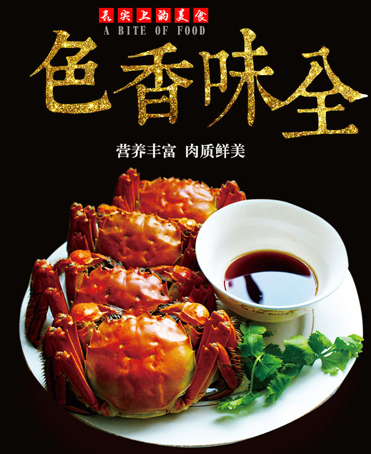 蔬菜合作社直供：绿色蔬菜的新选择