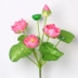 Vải giả hoa sen nhân tạo hoa nhựa hoa lily nước hoa sen hồ cảnh trang trí rãnh cắm hoa - Hoa nhân tạo / Cây / Trái cây cây phong giả Hoa nhân tạo / Cây / Trái cây