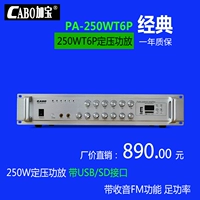 Кабо -фиксированный усилитель давления фоновая музыка усилитель Music Усилитель 250 Вт шестой дивизион с USB/SD -картой