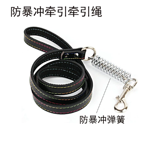 Ходячая собака веревка собака питомец