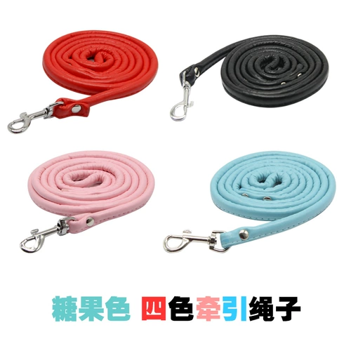 Ходячая собака веревка собака питомец