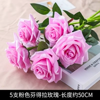 5 розовых роз Фендера