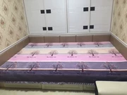 Pha lê AB tăng phiên bản tùy chỉnh rửa sạch bông cộng với nhung Four Seasons chăn bông tatami Kang giường bìa trượt trẻ em leo - Trải giường