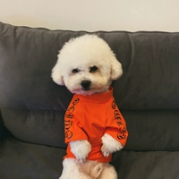 Апельсиновый санскрит