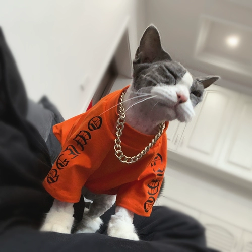 Шнурок-держатель, летний тонкий жилет, дышащая хлопковая футболка