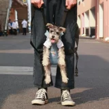 Джинсовый дышащий портативный рюкзак для выхода на улицу для путешествий